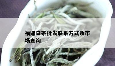 福鼎白茶批发联系方式及市场查询