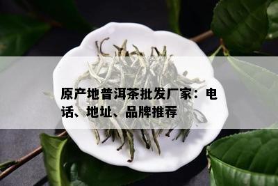 原产地普洱茶批发厂家：电话、地址、品牌推荐