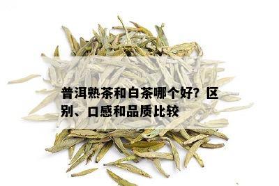 普洱熟茶和白茶哪个好？区别、口感和品质比较