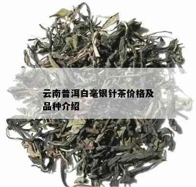 云南普洱白毫银针茶价格及品种介绍