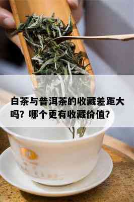 白茶与普洱茶的收藏差距大吗？哪个更有收藏价值？