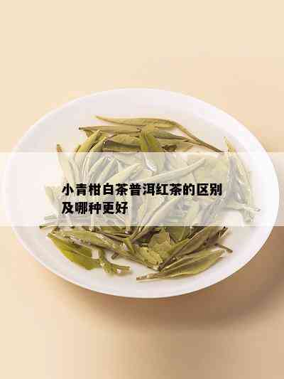 小青柑白茶普洱红茶的区别及哪种更好