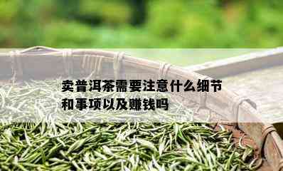 卖普洱茶需要注意什么细节和事项以及赚钱吗