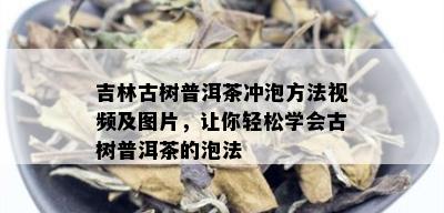 吉林古树普洱茶冲泡方法视频及图片，让你轻松学会古树普洱茶的泡法