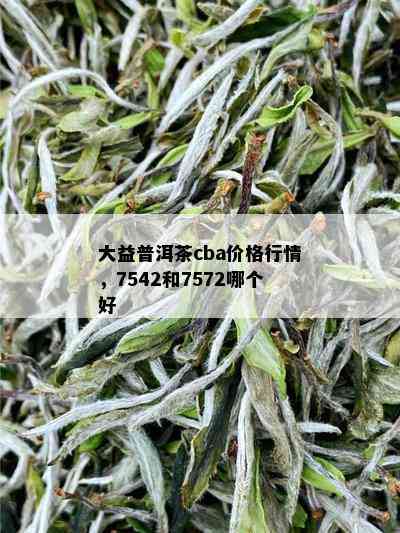 大益普洱茶cba价格行情，7542和7572哪个好