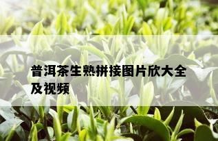 普洱茶生熟拼接图片欣大全及视频