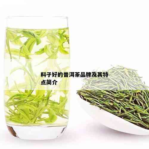 料子好的普洱茶品牌及其特点简介