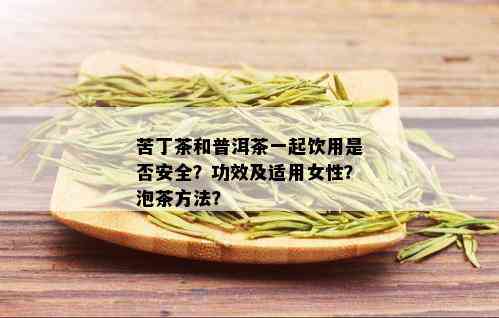 苦丁茶和普洱茶一起饮用是否安全？功效及适用女性？泡茶方法？