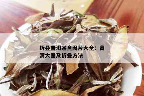 折叠普洱茶盒图片大全：高清大图及折叠方法