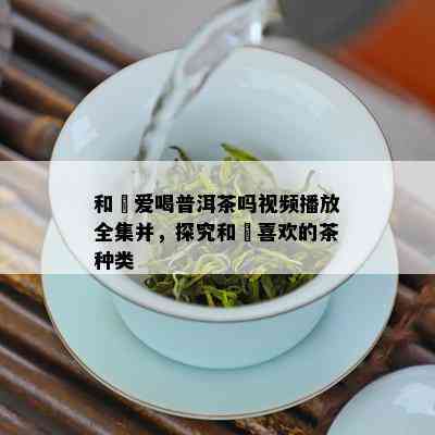 和珅爱喝普洱茶吗视频播放全集并，探究和珅喜欢的茶种类