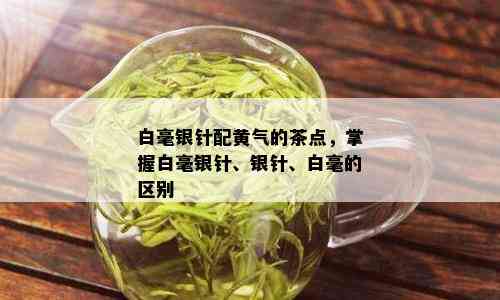 白毫银针配黄气的茶点，掌握白毫银针、银针、白毫的区别