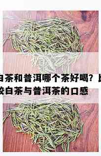 白茶和普洱哪个茶好喝？比较白茶与普洱茶的口感