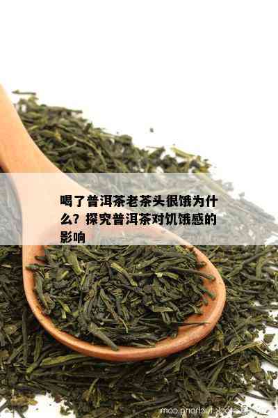 喝了普洱茶老茶头很饿为什么？探究普洱茶对饥饿感的影响