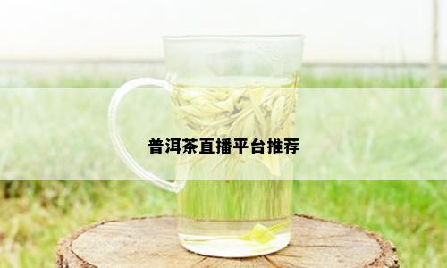 普洱茶直播平台推荐