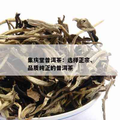 集庆堂普洱茶：选择正宗、品质纯正的普洱茶