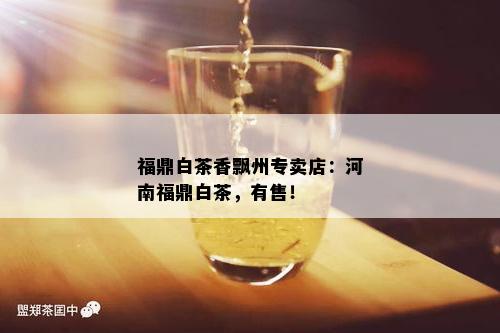 福鼎白茶香飘州专卖店：河南福鼎白茶，有售！