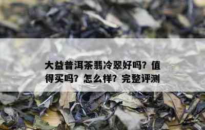 大益普洱茶翡冷翠好吗？值得买吗？怎么样？完整评测