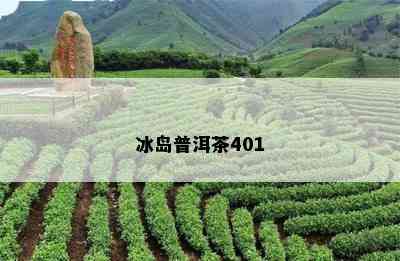 冰岛普洱茶401