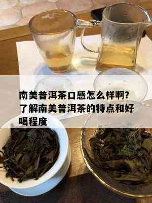 南美普洱茶口感怎么样啊？了解南美普洱茶的特点和好喝程度