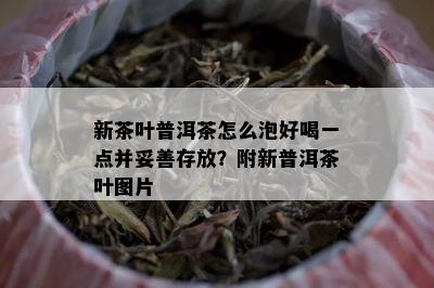 新茶叶普洱茶怎么泡好喝一点并妥善存放？附新普洱茶叶图片