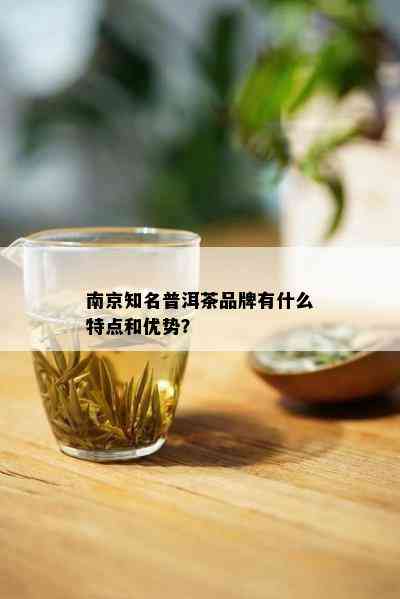 南京知名普洱茶品牌有什么特点和优势？