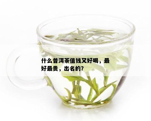 什么普洱茶值钱又好喝，更好最贵，出名的？