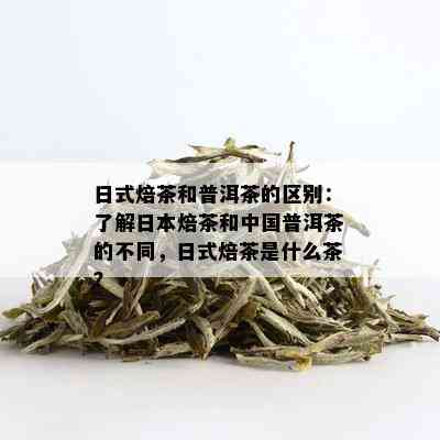 日式焙茶和普洱茶的区别：了解日本焙茶和中国普洱茶的不同，日式焙茶是什么茶？