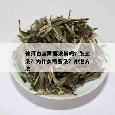 普洱白茶需要洗茶吗？怎么洗？为什么需要洗？冲泡方法