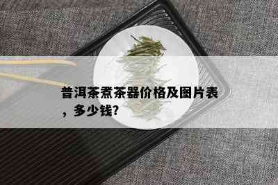 普洱茶煮茶器价格及图片表，多少钱？