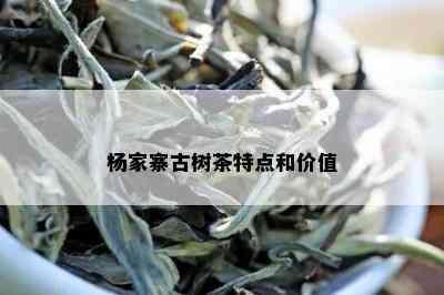 杨家寨古树茶特点和价值