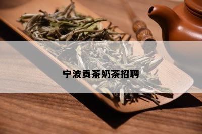 宁波贡茶奶茶招聘