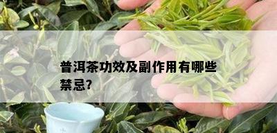 普洱茶功效及副作用有哪些禁忌？