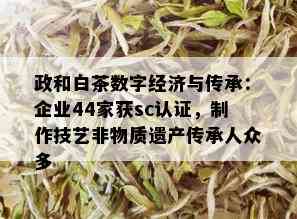 政和白茶数字经济与传承：企业44家获sc认证，制作技艺非物质遗产传承人众多