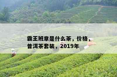 霸王班章是什么茶，价格，普洱茶套装，2019年