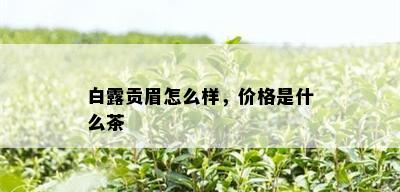 白露贡眉怎么样，价格是什么茶