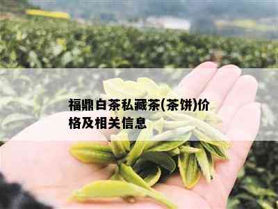 福鼎白茶私藏茶(茶饼)价格及相关信息