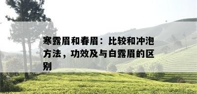 寒露眉和春眉：比较和冲泡方法，功效及与白露眉的区别