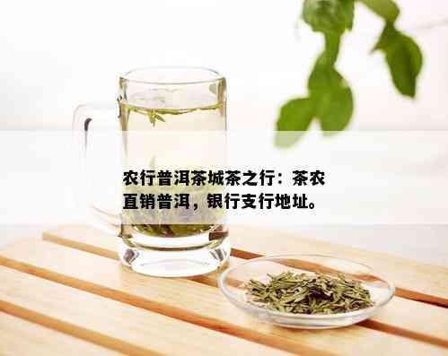 农行普洱茶城茶之行：茶农直销普洱，银行支行地址。