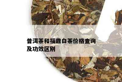 普洱茶和福鼎白茶价格查询及功效区别