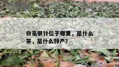 白毫银针位于哪里，是什么茶，是什么特产？