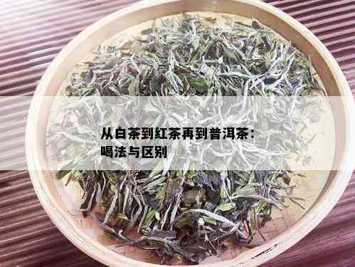 从白茶到红茶再到普洱茶：喝法与区别