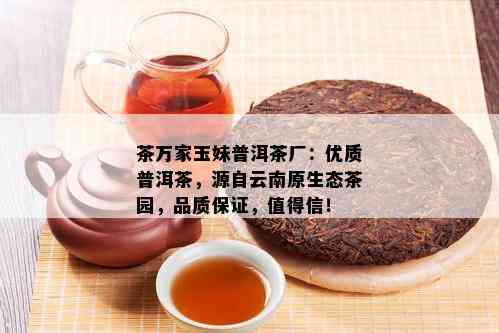 茶万家玉妹普洱茶厂：优质普洱茶，源自云南原生态茶园，品质保证，值得信！