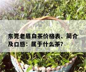 东莞老眉白茶价格表、简介及口感：属于什么茶？