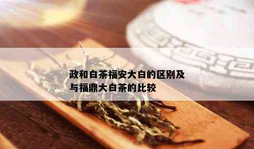 政和白茶福安大白的区别及与福鼎大白茶的比较