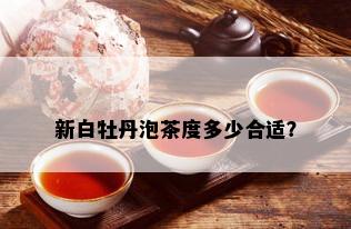 新白牡丹泡茶度多少合适？