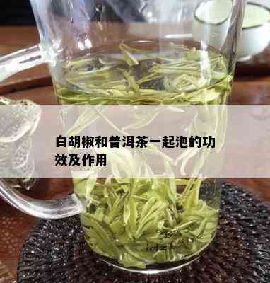 白胡椒和普洱茶一起泡的功效及作用