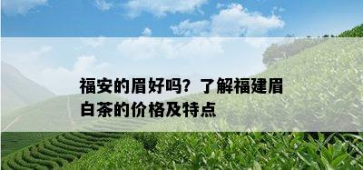 福安的眉好吗？了解福建眉白茶的价格及特点