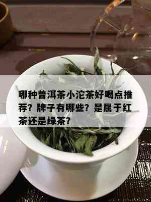 哪种普洱茶小沱茶好喝点推荐？牌子有哪些？是属于红茶还是绿茶？