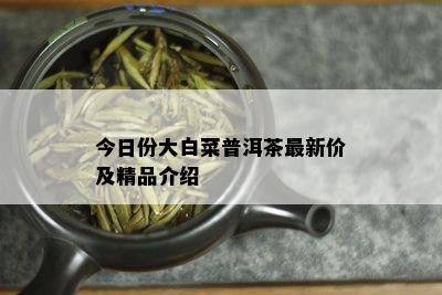 今日份大白菜普洱茶最新价及精品介绍