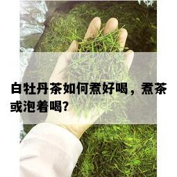 白牡丹茶如何煮好喝，煮茶或泡着喝？